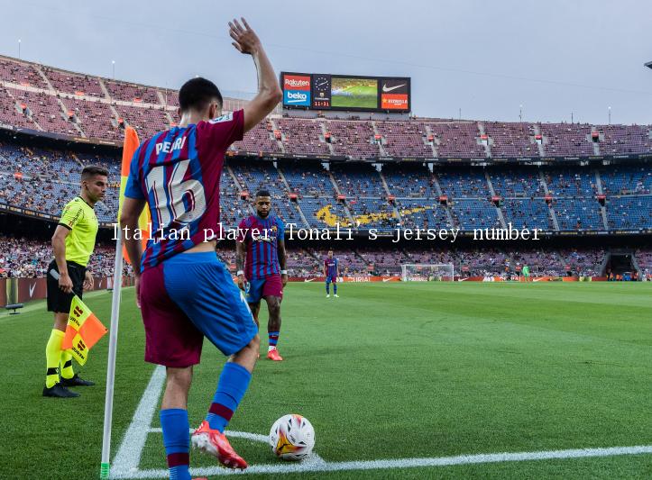 Italian player Tonali's jersey number